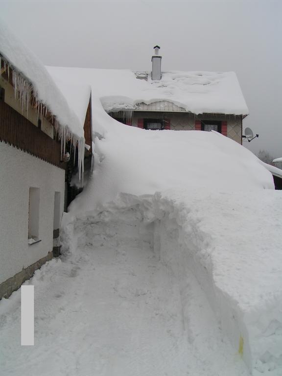 Pension U Krtka - Primo U Sjezdovky Hotel Harrachov Exterior photo